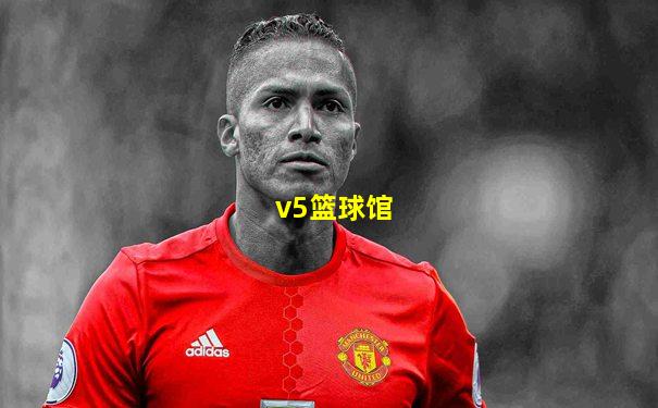 v5篮球馆