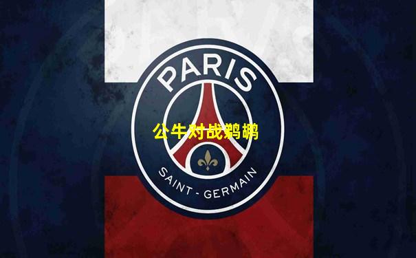 公牛对战鹈鹕