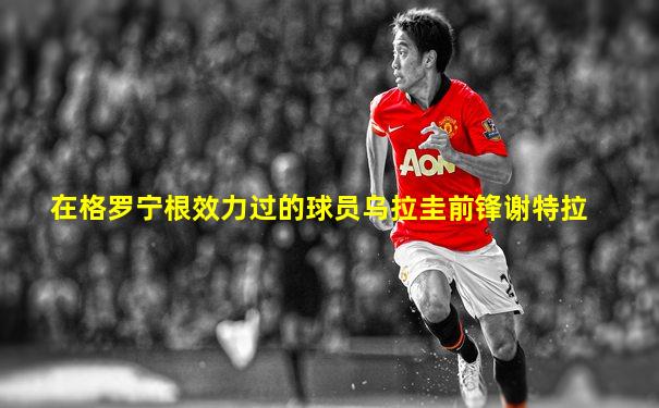 在格罗宁根效力过的球员乌拉圭前锋谢特拉