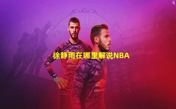 徐静雨在哪里解说NBA