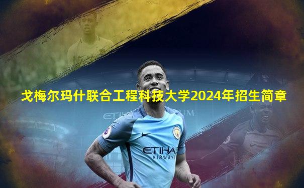 戈梅尔玛什联合工程科技大学2024年招生简章