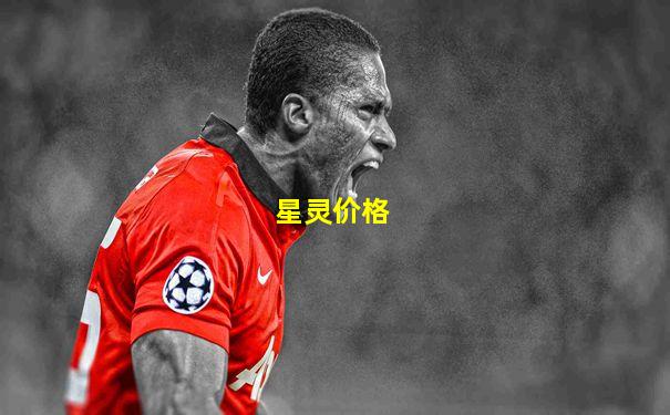 星灵价格